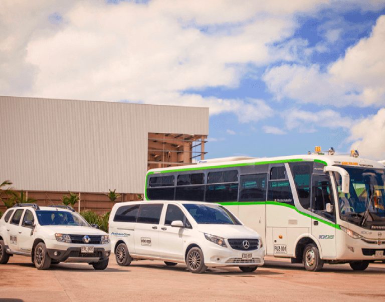 Buses, camionetas y microbuses